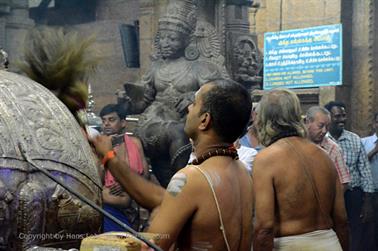 Meenakshi Temple, Madurai,_DSC_8413_H600